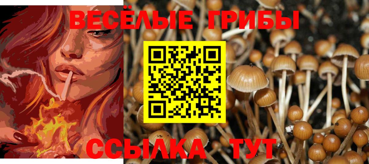 Псилоцибиновые грибы MAGIC MUSHROOMS Славянск-на-Кубани