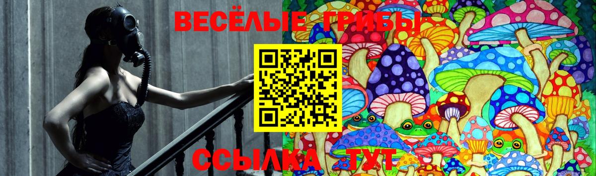Славянск-на-Кубани  Галлюциногенные грибы Magic Shrooms  Вход с VPN 